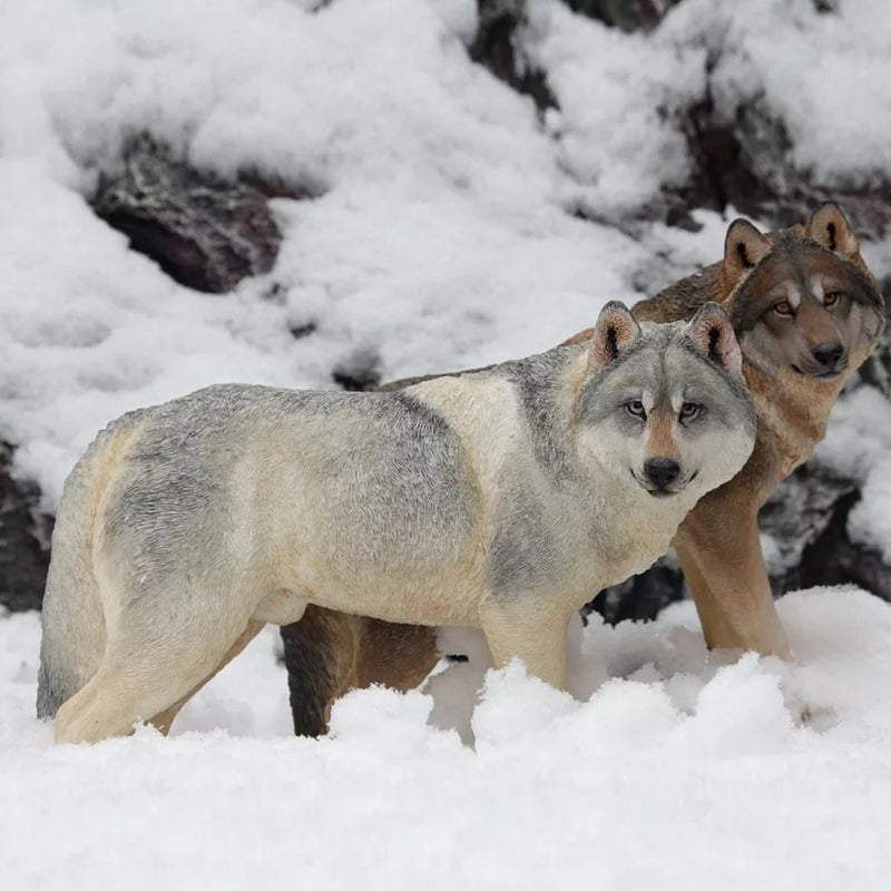 MRZ Steppe Wolf statue for home decor, gifts for Animal Lovers