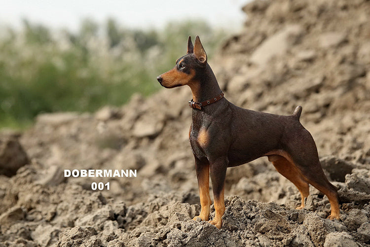 MRZ DB Dobermann dog statue for dog lovers