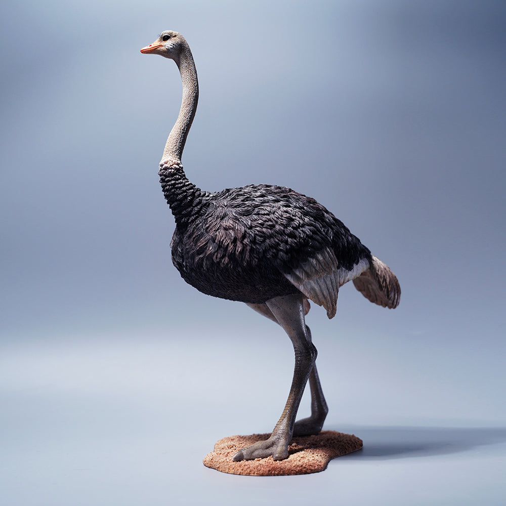 JXK097 15" Ostrich Statue, Realistic Animal Statue Gifts for Friends