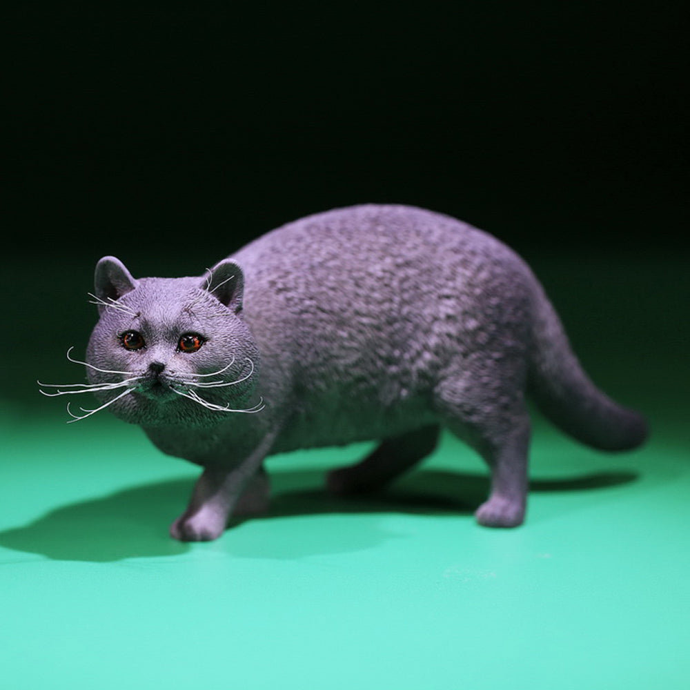 MRZ040 British Shorthair Cat statue, the gift for cat loves