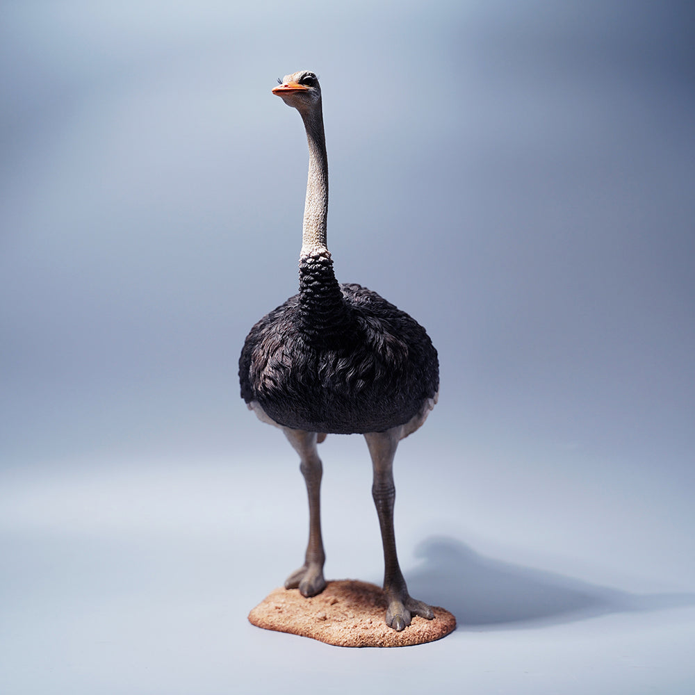 JXK097 15" Ostrich Statue, Realistic Animal Statue Gifts for Friends