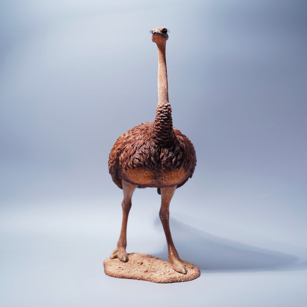 JXK097 15" Ostrich Statue, Realistic Animal Statue Gifts for Friends