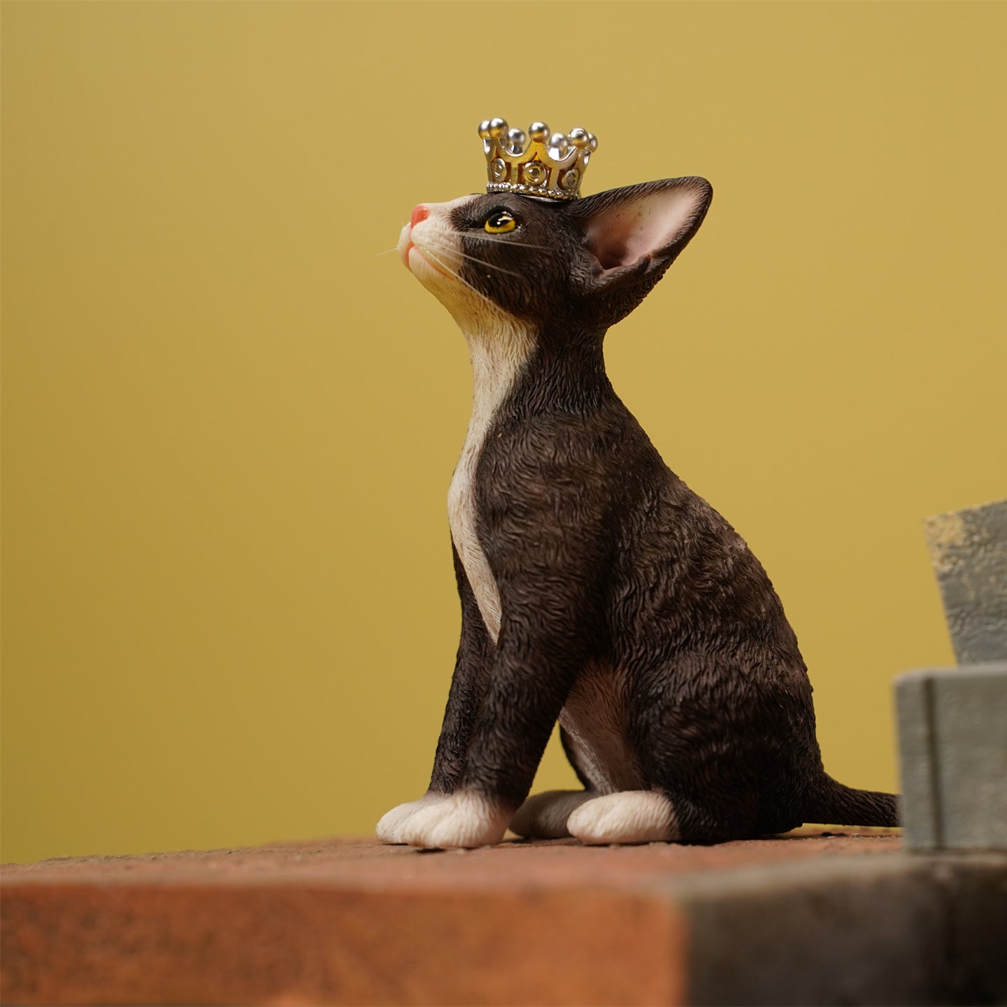 JXK123 Devon cat wearing a crown, gift for cat loves