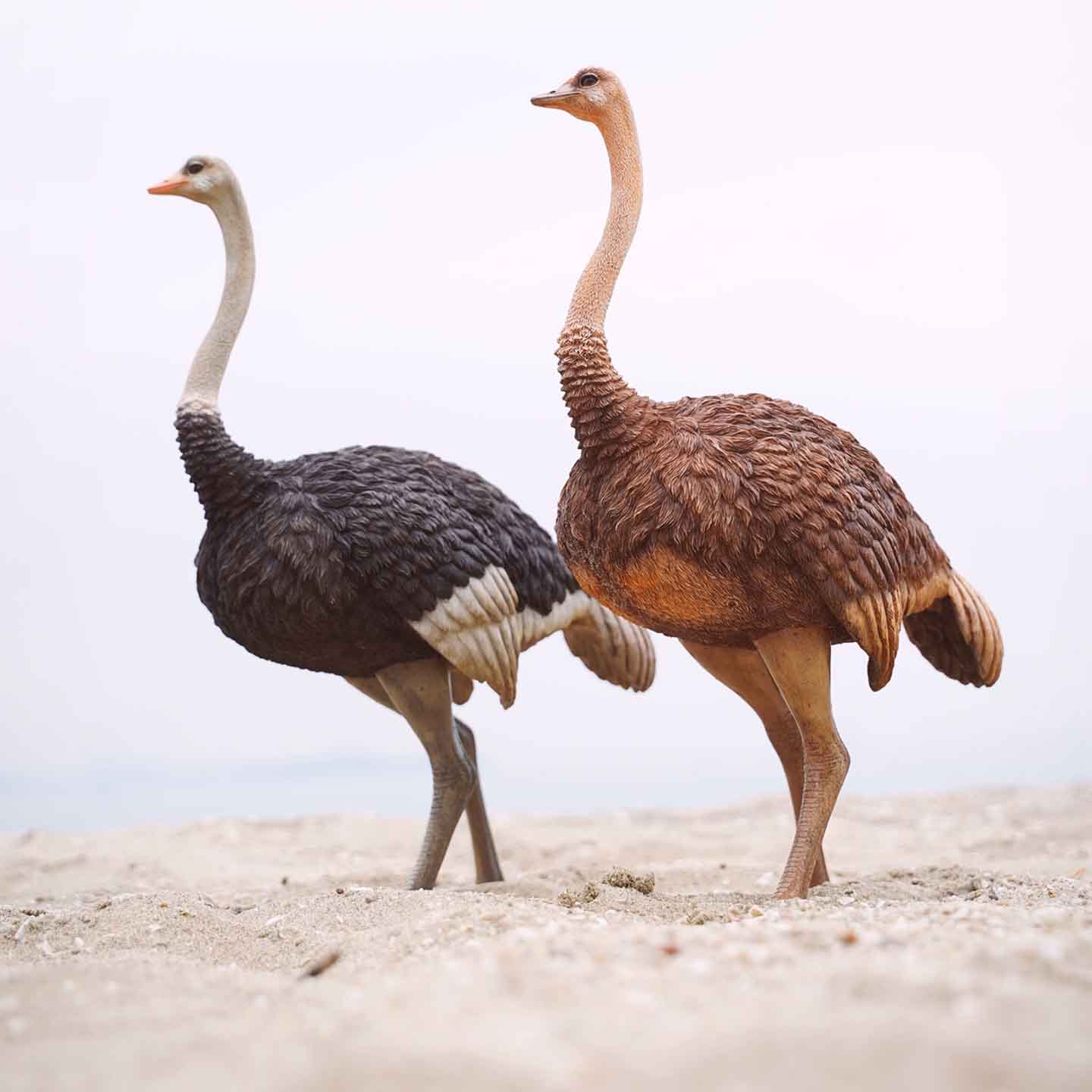 JXK097 15" Ostrich Statue, Realistic Animal Statue Gifts for Friends