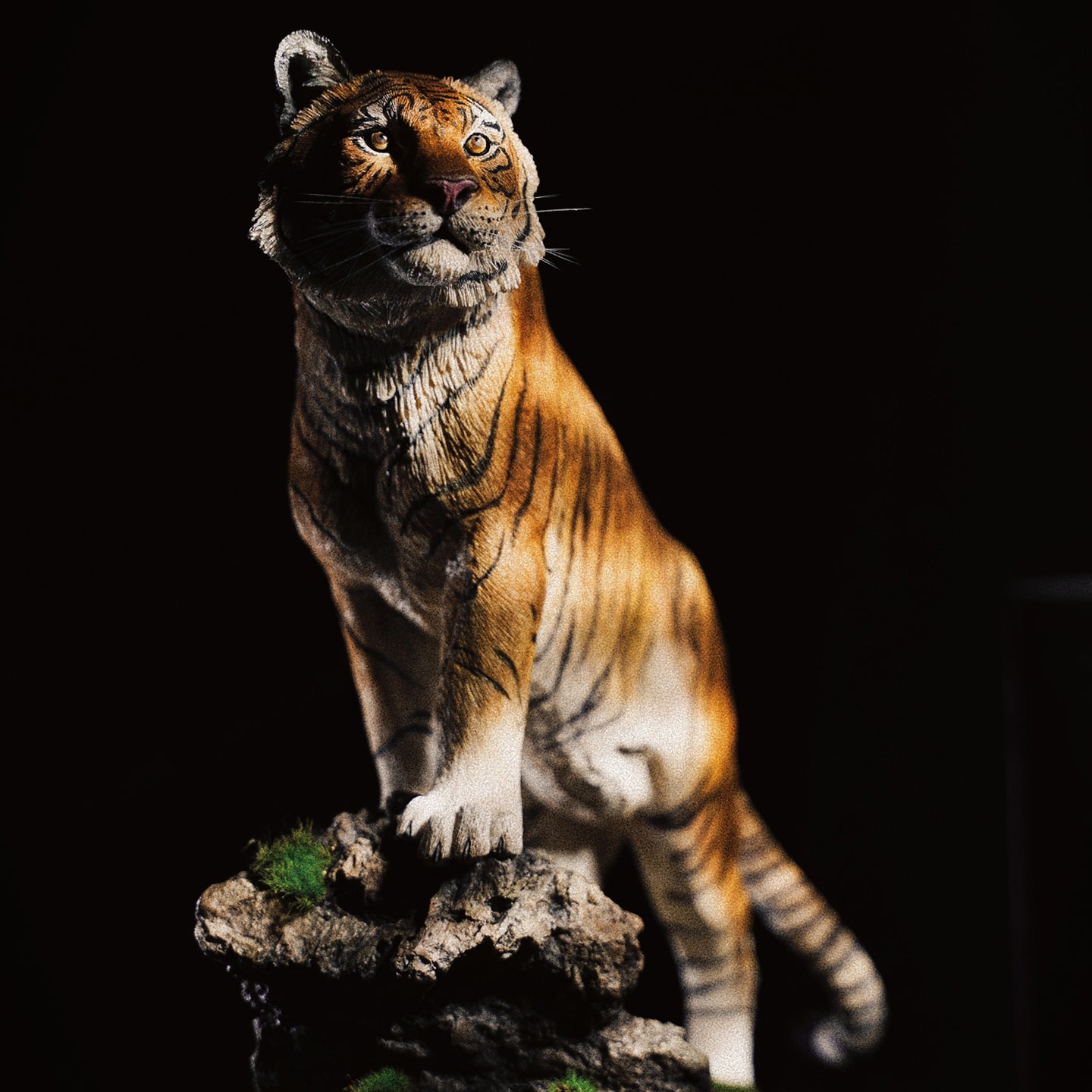 JXK130 The Tiger Standing on The Stone, Tiger Statue Gift for Animal Lovers