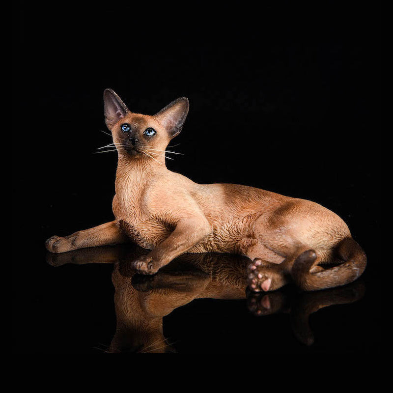 JXK016 Siamese Cat Figurine Resin Cat Statue Decor for Desktop Gifts for Cat Lovers