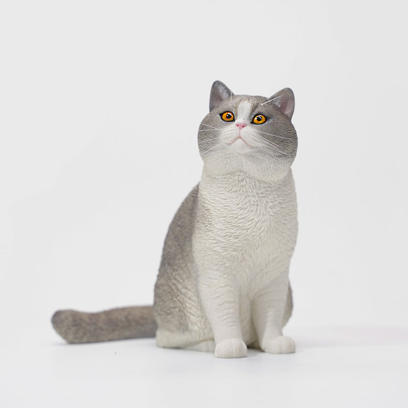 JXK030 British Shorthair Cat Figurine Resin Cat Statue Decor for Cat Lover Gifts for Cat Lovers