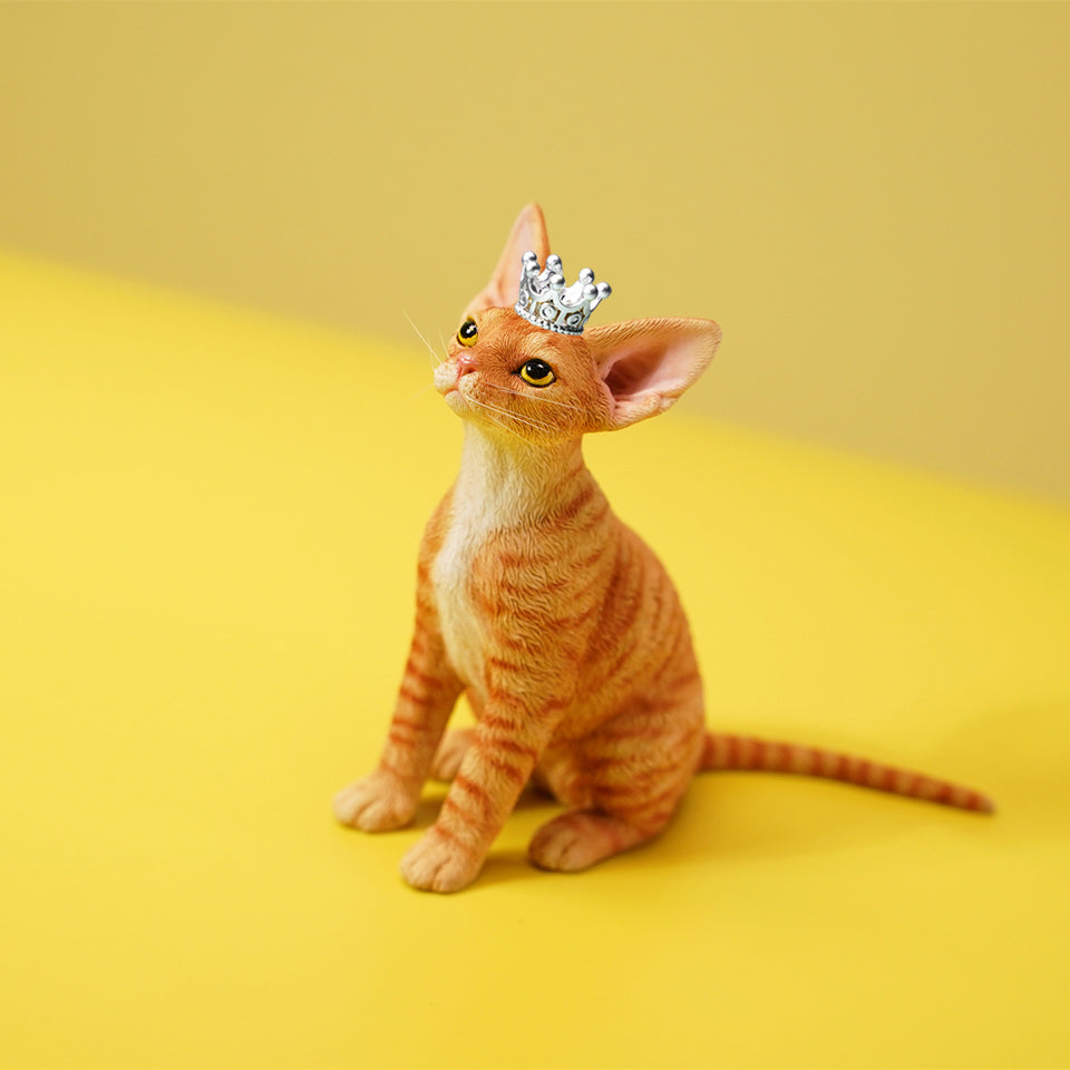 JXK123 Devon cat wearing a crown, gift for cat loves