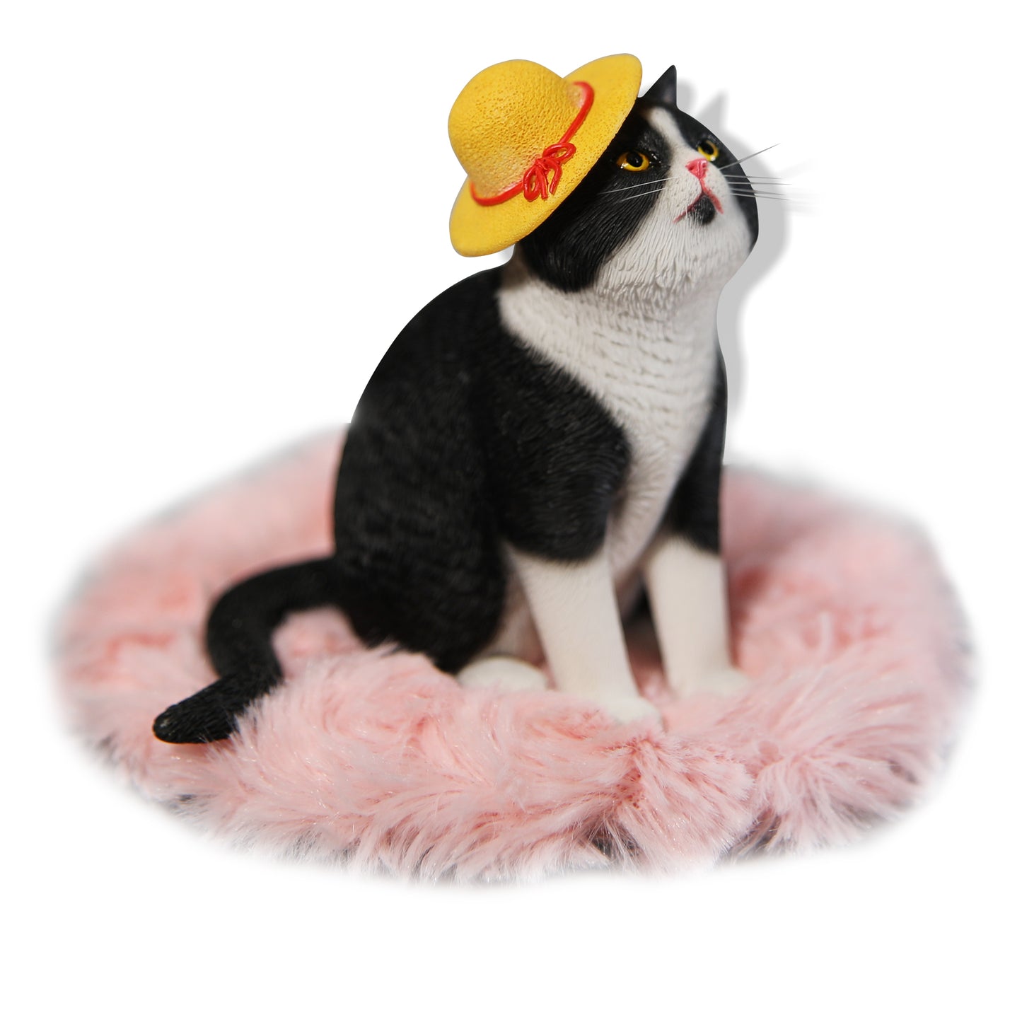 JXK141 Princess cat wearing a hat, gift for cat loves